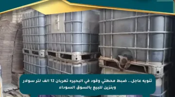 تنويه عاجل.. ضبط محطتي وقود في البحيرة تهربان 12 ألف لتر سولار وبنزين للبيع بالسوق السوداء